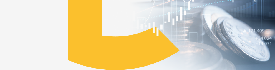 nagł&oacute;wek DORA